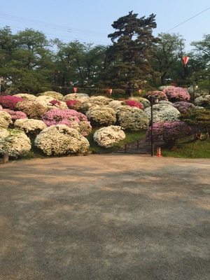 千秋公園　IMG_1721.JPG